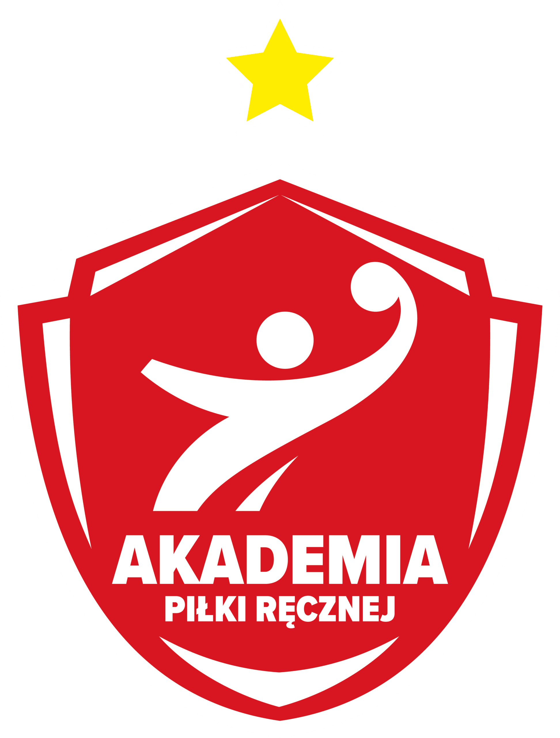 Akademia Piłki Ręcznej